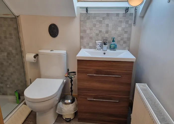 Lynster House Pensionat Monaghan